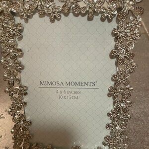 Mimosa Moments Silver Sparkly 4x6 inch Picture Frame (Never Used)